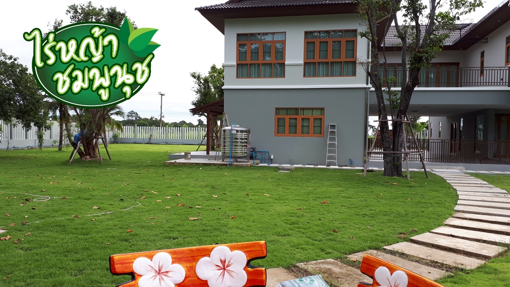 ขายหญ้ากาญจนบุรี