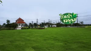ร้านหญ้า สระแก้ว