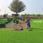 ไร่หญ้า ระยอง