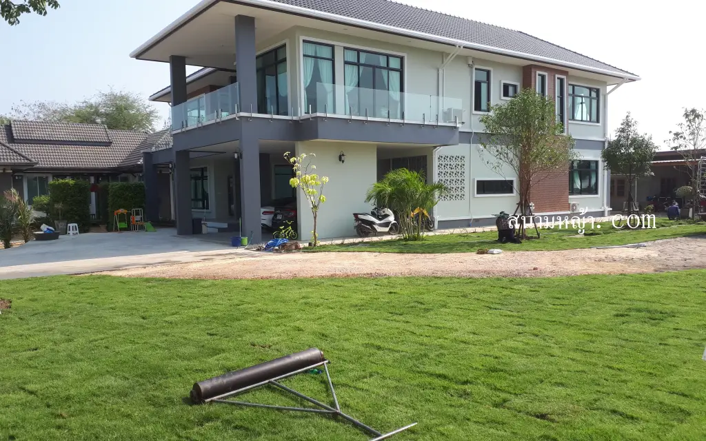 ขายหญ้า ระยอง