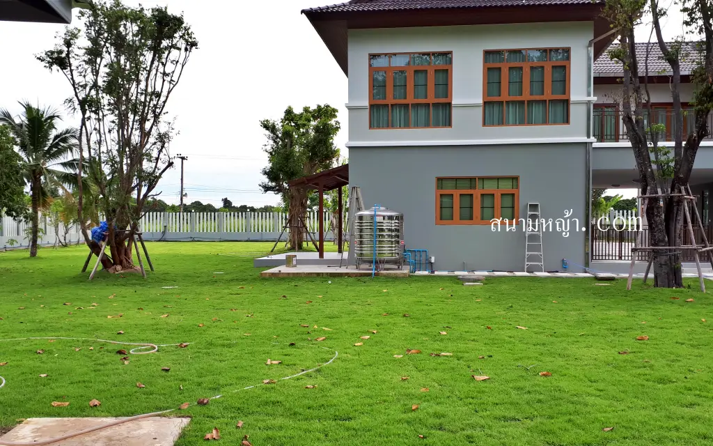 ขายหญ้า สระแก้ว