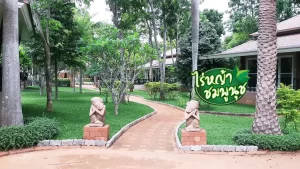 ร้านขายหญ้าเพชรบูรณ์