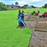 ไร่หญ้า นครปฐม