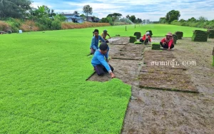 ไร่หญ้า นครปฐม