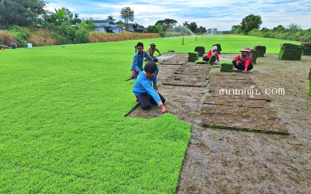 ไร่หญ้า นครปฐม