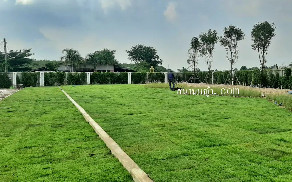 รับปูหญ้า นครปฐม