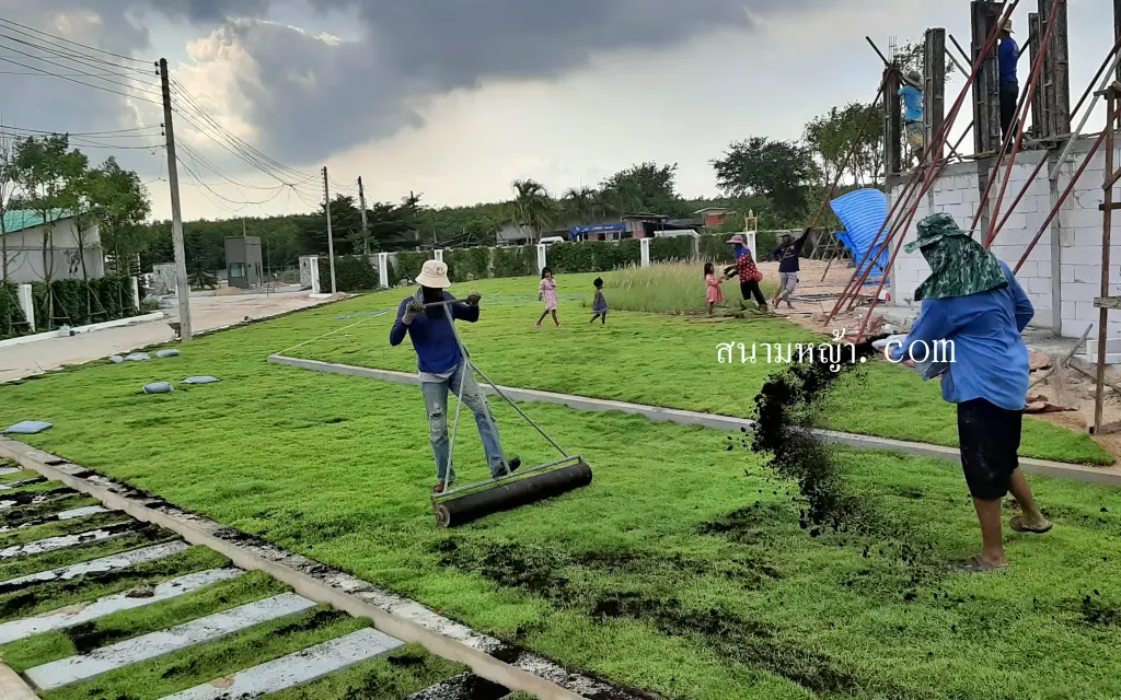 ขายหญ้า นครปฐม