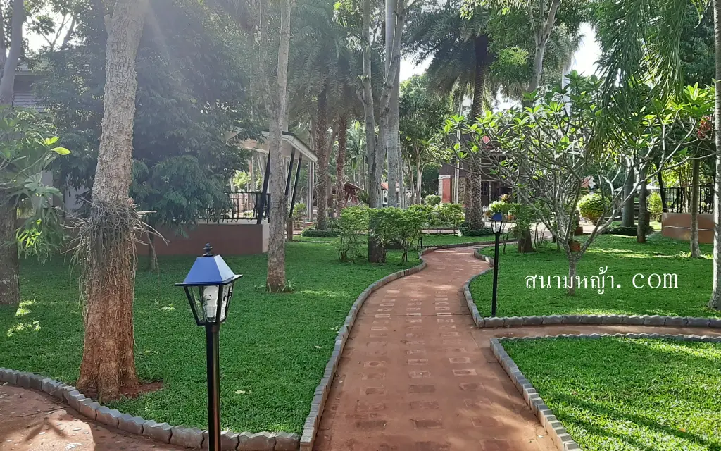 ร้านขายหญ้า เพชรบูรณ์