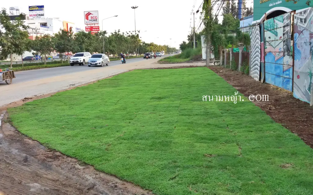 ขายหญ้า สมุทรสาคร