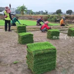 ไร่หญ้า จันทบุรี