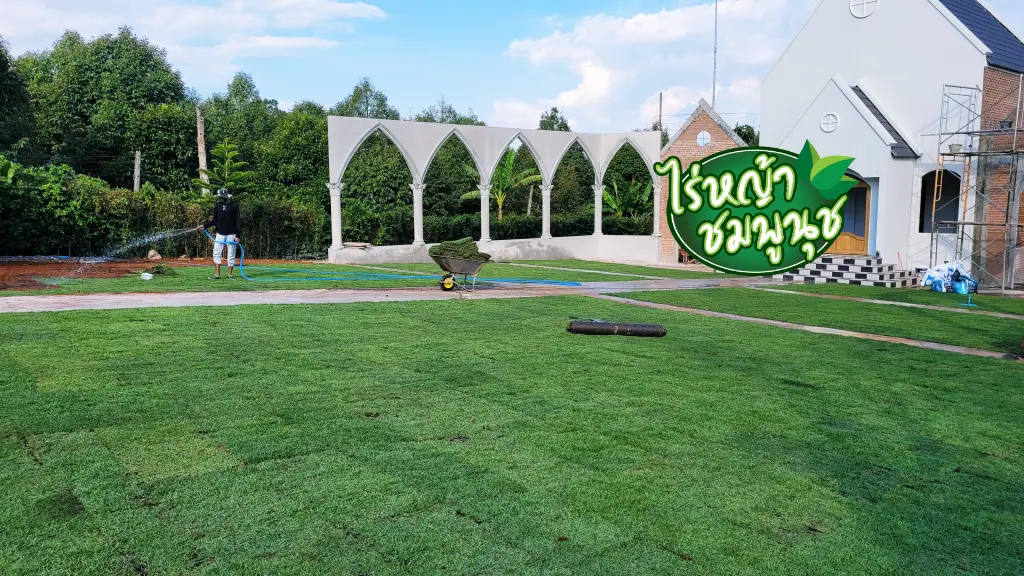 ร้านขายหญ้า จ.จันทบุรี